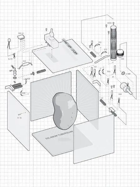 The plan for Willis Linsays original Stepper as anonymously posted online - фото 1