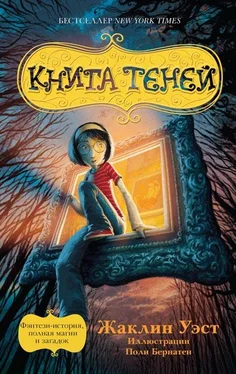 Жаклин Уэст Книга теней обложка книги