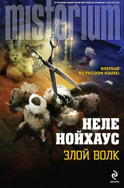 Неле Нойхаус Злой волк обложка книги