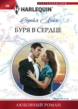 Сорейя Лейн Буря в сердце обложка книги