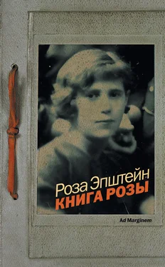 Роза Эпштейн Книга Розы обложка книги