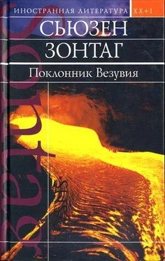 Сьюзен Зонтаг Поклонник Везувия обложка книги