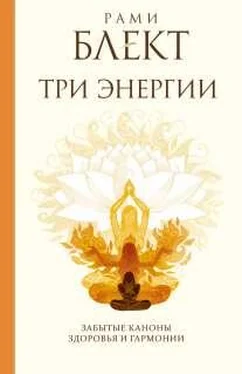 Рами Блект Три энергии. Забытые каноны здоровья и гармонии обложка книги