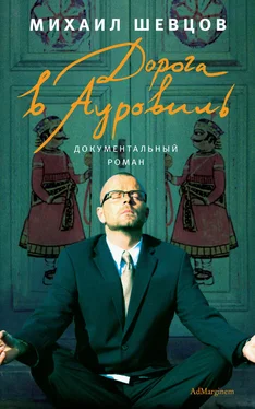 Михаил Шевцов Дорога в Ауровиль обложка книги