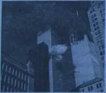 Мерлин Миллер кандидат в президенты США на выборах 2012 года от третьей - фото 32