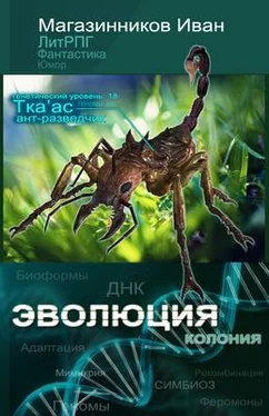 Иван Магазинников Эволюция обложка книги