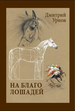 Дмитрий Урнов На благо лошадей. Очерки иппические обложка книги