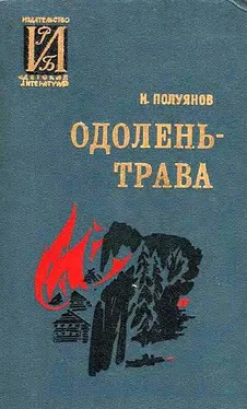 Иван Полуянов Одолень-трава обложка книги