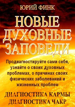 Юрий Финк Новые духовные заповеди обложка книги