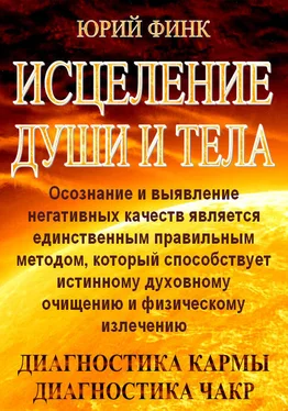 Юрий Финк Исцеление души и тела обложка книги