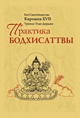 Тринле Тхае Дордже Кармапа XVII - Практика Бодхисаттвы