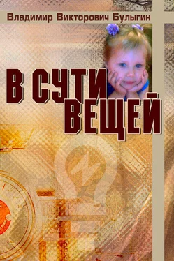 Владимир Булыгин В сути вещей обложка книги