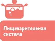 Для этого у нас есть пищеварительная система С её помощью съеденные тобой - фото 38