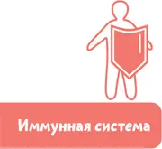 И человек заболеет Да Чевостик Но человеческий организм устроен очень - фото 61