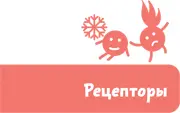Любишь ты пошутить Глаз на ступнях действительно нет зато есть - фото 63