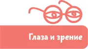 Ну это и я знаю по бокам белок в середине цветной кружок а в его центре - фото 72