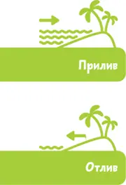Это как же интересно Луна же на небе И маленькая совсем Она кажется - фото 49