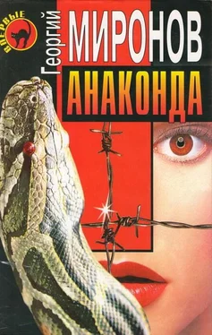 Георгий Миронов Анаконда обложка книги