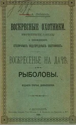 Николай Лейкин - Рыболовы