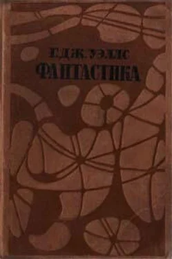 Герберт Уэллс Остров Эпиорниса (Без указания переводчика) обложка книги