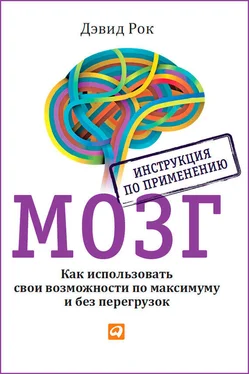 Дэвид Рок Мозг. Инструкция по применению. Как использовать свои возможности по максимуму и без перегрузок обложка книги