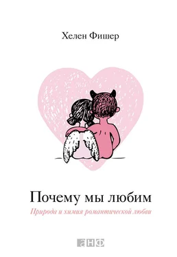 Хелен Фишер Почему мы любим. Природа и химия романтической любви обложка книги