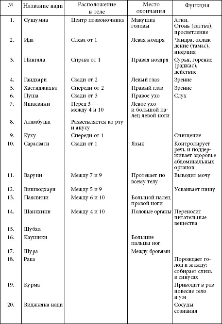 Дхамани и Сира 11 Нади дхамани и сиры представляют собой трубчатые органы - фото 23