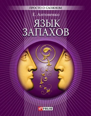 Елена Антоненко Язык запахов обложка книги