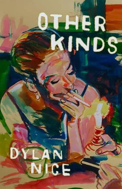 Dylan Nice Other Kinds обложка книги