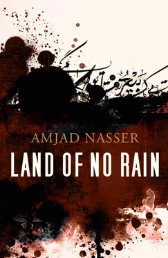 Nasser Amjad Land of No Rain обложка книги