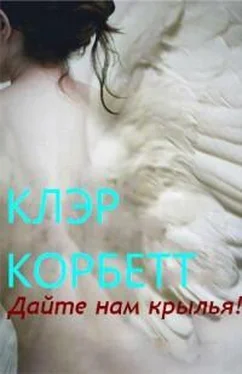 Клэр Корбетт Дайте нам крылья! обложка книги