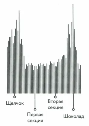 Процесс превращения мозгом последовательности действий в автоматический набор - фото 3