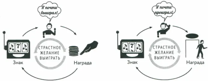 Непонятно отличается ли мозг завзятых игроков с рождения или же его функции - фото 39