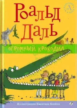 Роальд Даль Огромный крокодил обложка книги