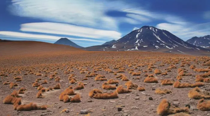 Какие страны расположены на юге Южной Америки На юге Южной Америки - фото 65