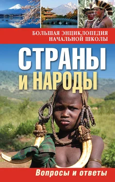 Ю. Куканова Страны и народы. Вопросы и ответы обложка книги