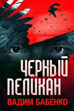 Вадим Бабенко Черный Пеликан обложка книги