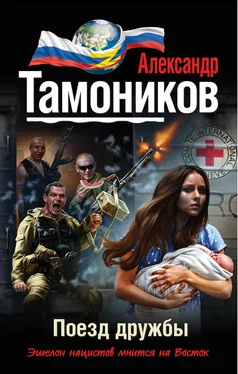 Александр Тамоников Поезд дружбы обложка книги