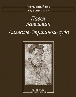 Павел Зальцман Сигналы Страшного суда. Поэтические произведения обложка книги