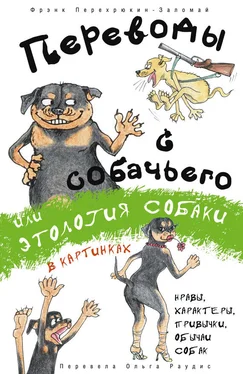 Фрэнк Перехрюкин-Заломай Переводы с собачьего, или Этология собаки в картинках обложка книги