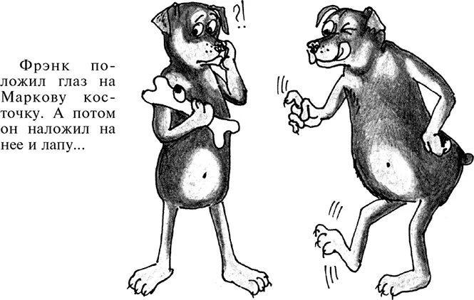 Этюд о косточках Насколько косточки любим мы настолько их не любят наши - фото 38