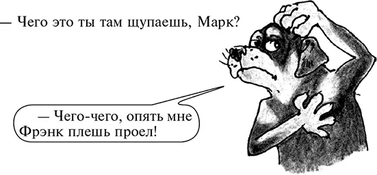 Этюд о косточках Насколько косточки любим мы настолько их не любят наши - фото 39