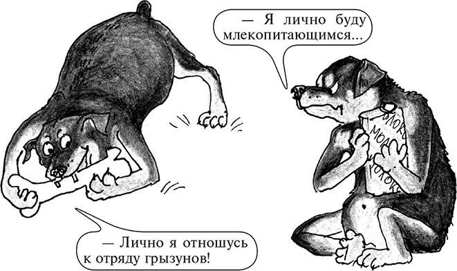 Этюд о косточках Насколько косточки любим мы настолько их не любят наши - фото 40