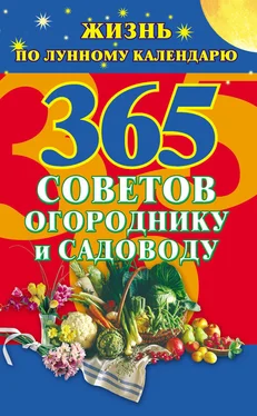 Наталья Ольшевская 365 советов огороднику и садоводу. Жизнь по лунному календарю обложка книги