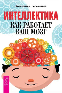 Константин Шереметьев Интеллектика. Как работает ваш мозг обложка книги