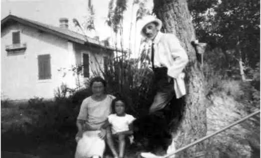 Капбретон Вилла Жаворонок 1925 Ну дорогие друзья я кажется - фото 7