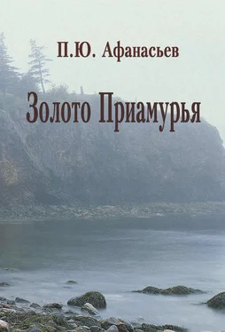 Павел Афанасьев Золото Приамурья обложка книги