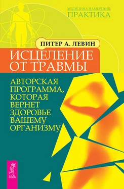 Питер Левин Исцеление от травмы. Авторская программа, которая вернет здоровье вашему организму обложка книги