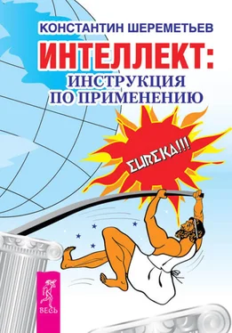 Константин Шереметьев Интеллект: инструкция по применению обложка книги