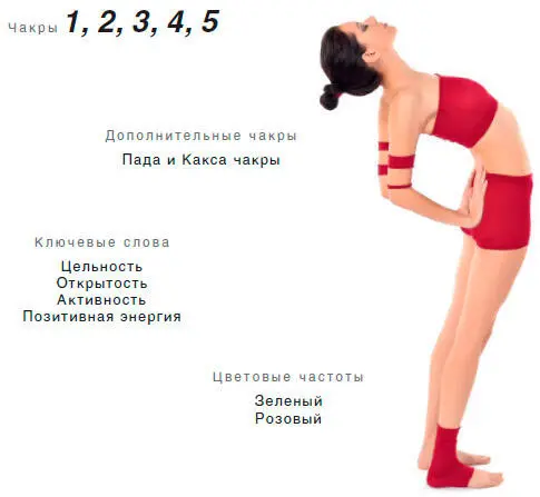 Энергетический эффект Асана активно раскрывает фронтальное энергетическое - фото 4